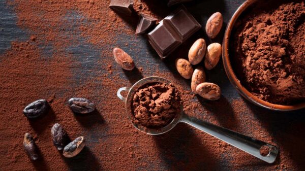 Cocoa Prices Reach Unprecedented Milestone: Surpassing $10,000 per Metric Ton