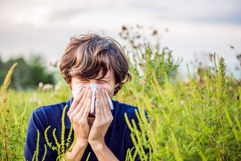 Why Your Seasonal Allergies Are Worse This Year and How to Find Relief