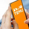 Chinese E-Commerce Giant “Temu” Leads U.S. App Downloads for Second Year Amid Regulatory Pressure