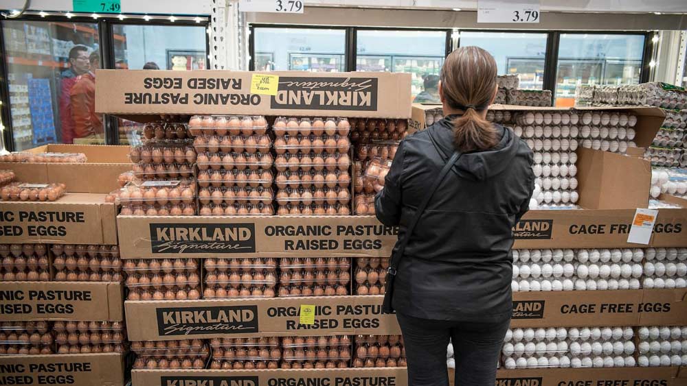 Costco Eggs Recalled: FDA Warns of Severe Salmonella Contamination