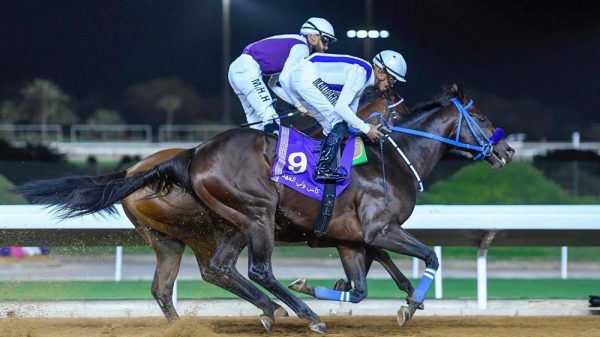 مليوني ريال .. جائزة الفائزين بكأسي ولي العهد للخيل بتتويج من أمير الرياض