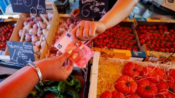 Euro Zone Inflation Hits 2.4% in December, Core Inflation Holds at 2.7%