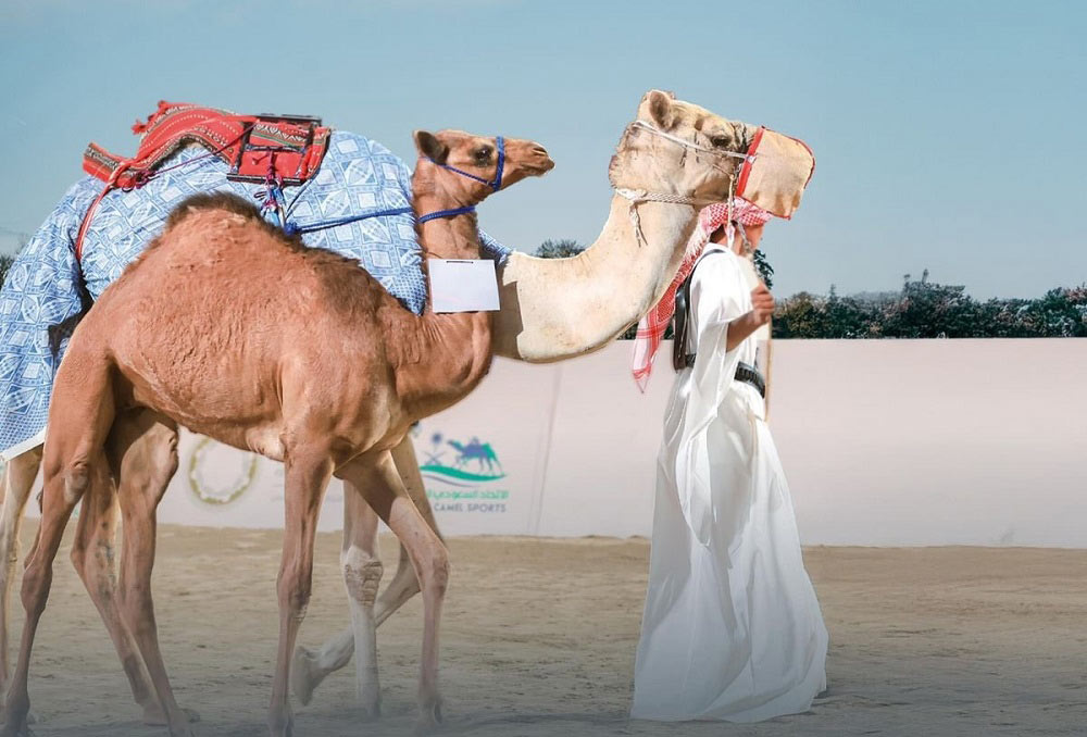 نهائي دوري هجان 2026 في الجنادرية .. الرياضة تلتقي بالأصالة